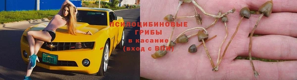 мефедрон мука Заводоуковск