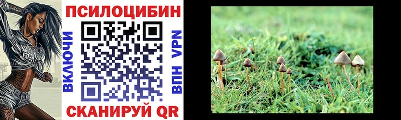 Галлюциногенные грибы прущие грибы  Купить  Павловская 