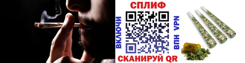 Каннабис ГИДРОПОН  Купить где  Павловская 